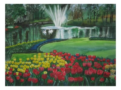 1. Tulip Flowers and Fountain