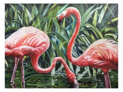 14. Flamingos