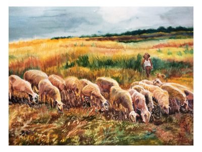2. Shepherd and his sheeps