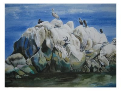 20. Birdes on Colourful Rockes