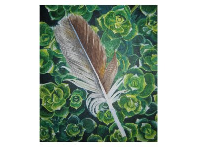 32. Feathers on Flowers