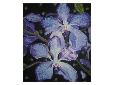 37. Purple Orchids