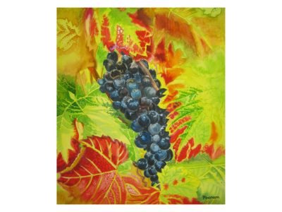 42. Cluster of Grapes