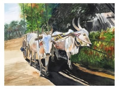 49. Bullock cart