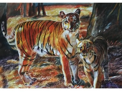 Tigers