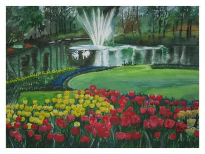 Tulip Flowers and Fountain