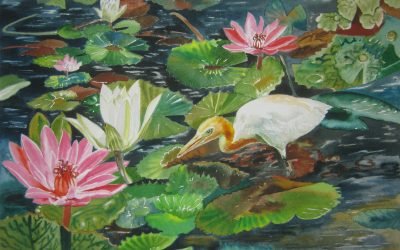 lotus with floting Bird